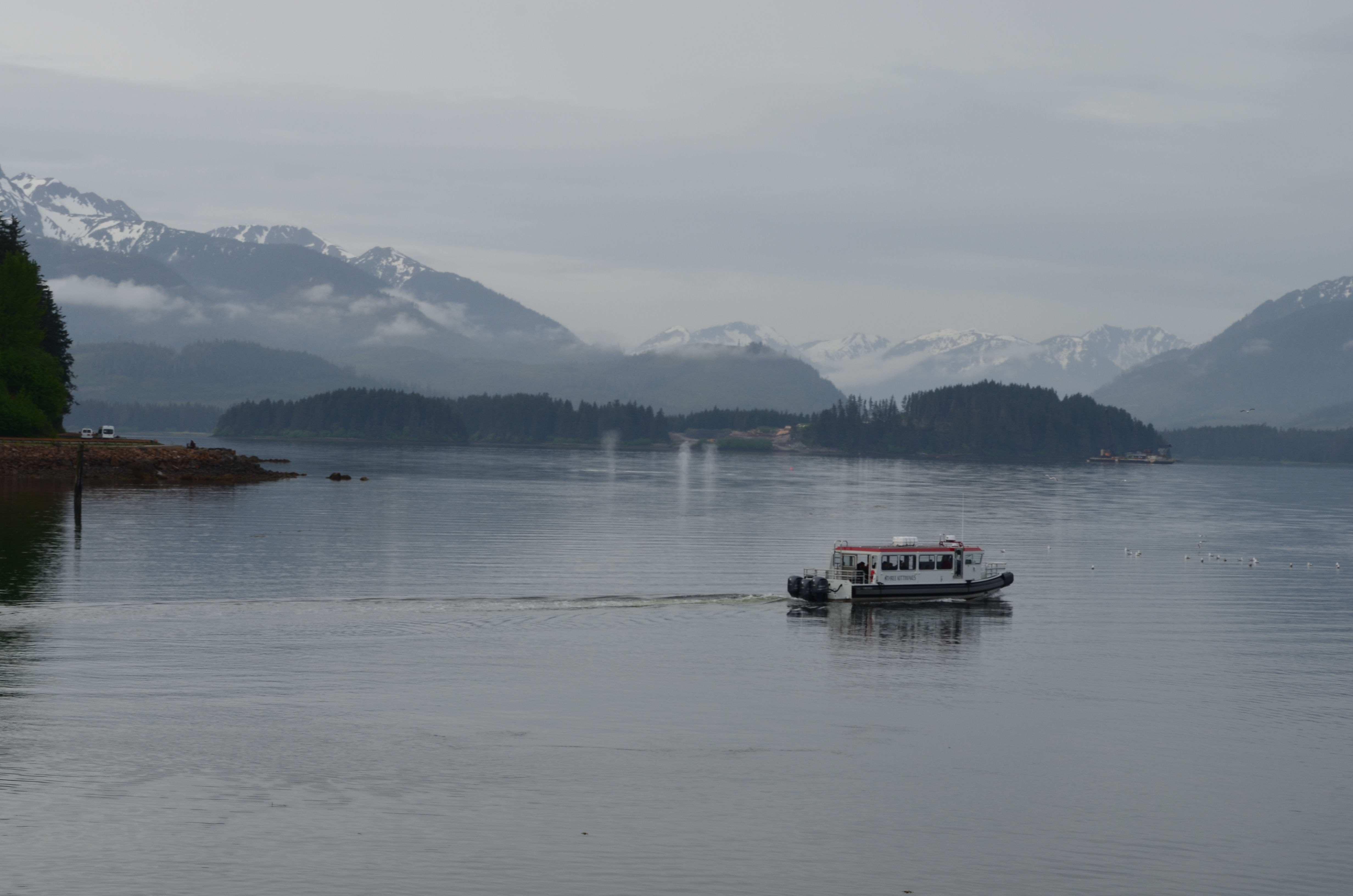 ./2017/08 - Alaska Cruise/10 - Icy Strait Point/DSC_0240.JPG